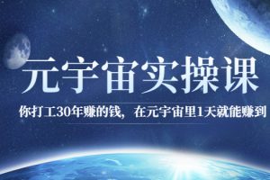 （2566期）元宇宙实操课：你打工30年赚的钱，在元宇宙里1天就能赚到