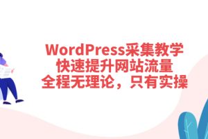 （3500期）WordPress采集教学，快速提升网站流量：全程无理论，只有实操