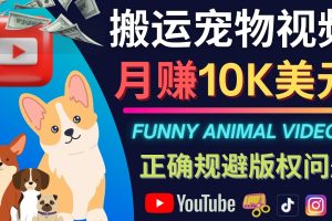 （4221期）搬运TIKTOK视频到YouTube，并进行二次创作，月赚1万美元以上