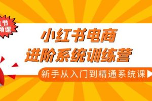 （4952期）小红书电商进阶系统训练营：新手从入门到精通系统课（21节视频课）