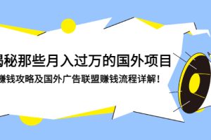 （2891期）揭秘那些月入过万的国外项目，赚钱攻略及国外广告联盟赚钱流程详解！