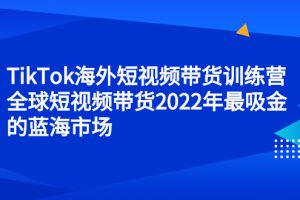 （2347期）TikTok海外短视频带货训练营，全球短视频带货2022年最吸金的蓝海市场