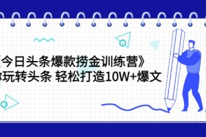 （3264期）《今日头条爆款捞金训练营》带你玩转头条 轻松打造10W+爆文（44节课）