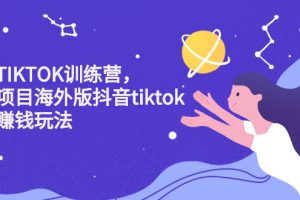 （2207期）海外TIKTOK训练营，百万项目海外版抖音tiktok流量赚钱玩法