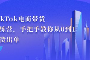 （2172期）TikTok电商带货训练营，手把手教你从0到1带货出单