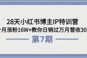 （3745期）28天小红书博主IP特训营《第6+7期》4个月涨粉16W+教你日销过万月营收30万