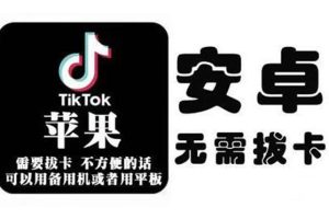 （2073期）tiktok海外版短视频操作教程(苹果/安卓)，帮助国内也能刷海外版抖音