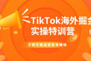 （1942期）TikTok海外掘金实操特训营：手把手教运营变现赚钱【视频课程】