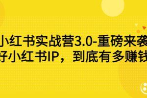 （2861期）小红书实战营3.0-重磅来袭：做好小红书IP，到底有多赚钱？