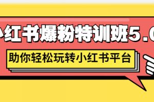 （2690期）小红书爆粉特训班5.0，助你轻松玩转小红书平台价值1380元