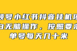 （2437期）视频号小红书抖音挂机项目，小白无脑操作，按照要求来，单号每天几十米