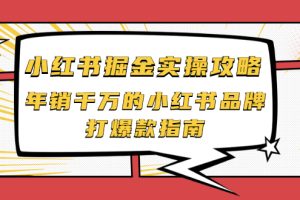 （2041期）小红书掘金实操攻略，年销千万的小红书品牌打爆款指南