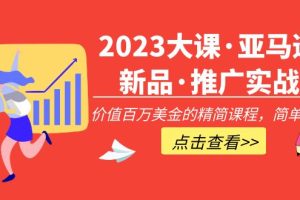 （5005期）2023大课·亚马逊新品·推广实战：价值百万美金的精简课程，简单粗暴！