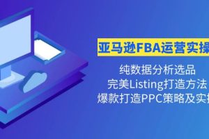 （4159期）亚马逊FBA运营实操课 纯数据分析选品+完美Listing打造+爆款打造PPC策略实操