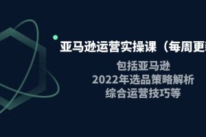 （3955期）亚马逊运营实操课（每周更新）包括亚马逊2022选品策略解析，综合运营技巧等