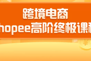 （1432期）2020跨境电商蓝海新机会-shopee大卖特训营：高阶终极课程（16节课）