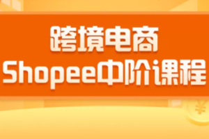 （1410期）2020跨境电商蓝海新机会-shopee中阶课程：爆款的快速打造全流程（27节课）