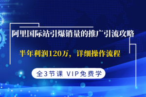 （1374期）阿里国际站引爆销量的推广引流攻略，半年利润120万，详细操作流程(全3节课)