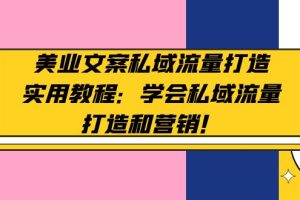 （4987期）美业文案私域流量打造实用教程：学会私域流量打造和营销！