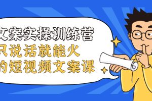 （2106期）文案实操训练营，只说话就能火的短视频文案课