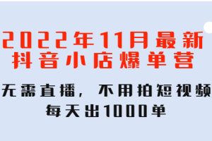 （4356期）2022年11月最新抖音小店爆单训练营：无需直播，不用拍短视频，每天出1000单