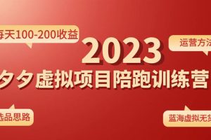 （4641期）《拼夕夕虚拟项目陪跑训练营1.0》单店每天100-200收益 独家选品思路和运营