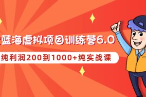 （4587期）黄岛主《淘宝蓝海虚拟项目陪跑训练营6.0》每天纯利润200到1000+纯实战课