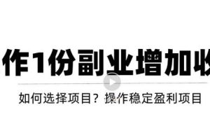 （3217期）新手如何通过操作副业增加收入，从项目选择到玩法分享！【视频教程】