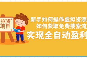 （3118期）新手如何操作虚拟资源项目：如何获取免费搜索流量，实现全自动盈利！