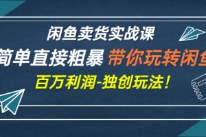 （2782期）闲鱼卖货实战课，简单直接粗暴，带你玩转闲鱼-百万利润-独创玩法！