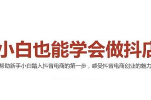 （2006期）2021最新抖音小店无货源课程，小白也能学会做抖店，轻松月入过万