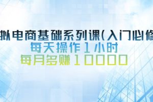 （2534期）虚拟电商基础系列课（入门必修），每天操作1小时，每月多赚10000