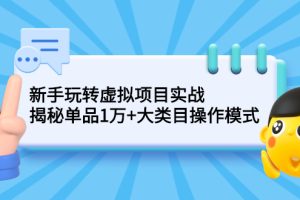 （2144期）新手玩转虚拟项目实战，揭秘单品1万+大类目操作模式【视频课程】