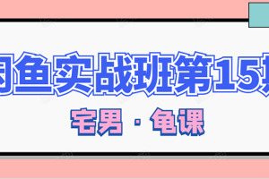 （1522期）龟课·闲鱼无货源电商课程第15期，一个月收益几万不等【33节视频-无水印】