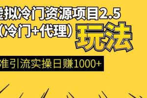 （1185期）虚拟冷门资源项目2.5（冷门&代理玩法） 精准引流实操日赚1000+(更新中)