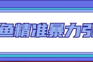 （4941期）闲鱼精准暴力引流全系列课程，每天被动精准引流200+客源技术（8节视频课）