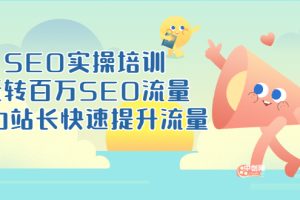 （3098期）SEO实操培训：玩转百万SEO流量，助力站长快速提升流量（18节视频课）