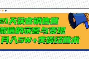 （2997期）21天获客销售营，带你破解微信的获客与变现  月入5W+卖货经营术