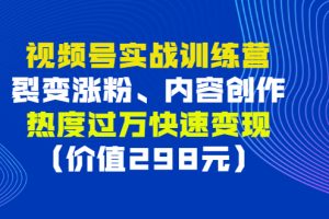 （2795期）视频号实战训练营，裂变涨粉、内容创作、热度过万快速变现（价值298元）