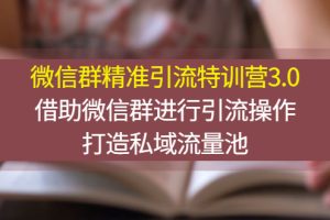 （2770期）微信群精准引流特训营3.0，借助微信群进行引流操作，打造私域流量池