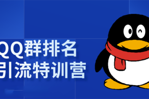 （1665期）《QQ群排名引流特训营》一个群被动收益1000，是如何做到的（5节视频课）