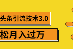 （1379期）今日头条引流技术3.0，打造爆款引流的玩法 VLOG引流技术，月入过万(无水印)