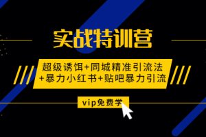 （1314期）实战特训营:超级诱饵+同城精准引流法+暴力小红书+贴吧暴力引流（视频课程）