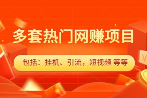 （2131期）多套热门网赚项目，更新中视频撸钱（包括：挂机、引流，短视频 等等）