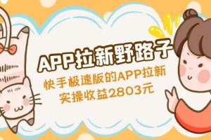 （4946期）APP拉新野路子：快手极速版的APP拉新赚，实操收益2803元