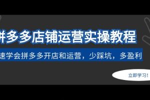 （4883期）拼多多店铺运营实操教程：快速学会拼多多开店和运营，少踩坑，多盈利