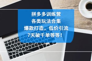 （4693期）拼多多训练营：各玩法合集，爆款打造，低价引流，7天破千单等等！