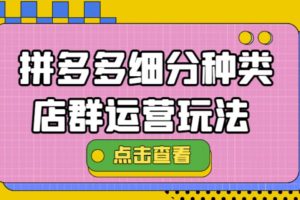 （4373期）拼多多细分种类店群运营玩法3.0，11月最新玩法，小白也可以操作