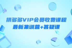 （4127期）某社群·拼多多VIP会员收费课程，最新集训营+答疑课-价值3299元