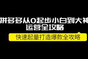 （3884期）拼多多从0起步小白到大神运营全攻略，快速起量打造10W+爆款全攻略！